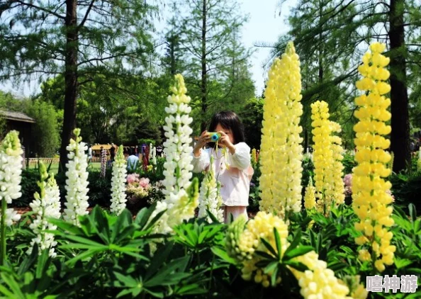 新洲区香草伊甸园景区迎来秋季花展，丰富活动吸引游客尽享自然之美与亲子乐趣